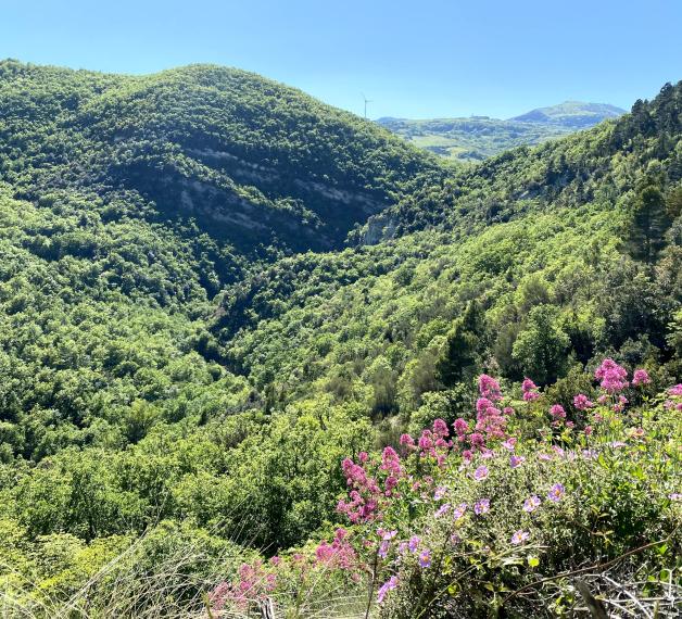 Vivi la Valle del Trigno a passo lento
