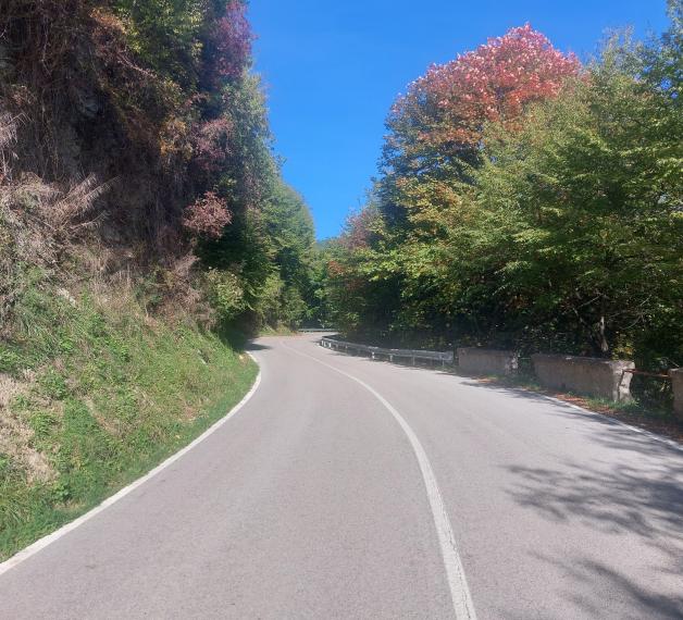 AREA DI SERVIZIO