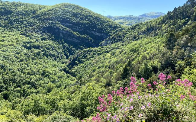 Vivi la Valle del Trigno a passo lento