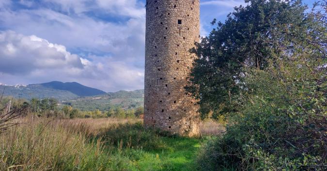 Torre della Fara