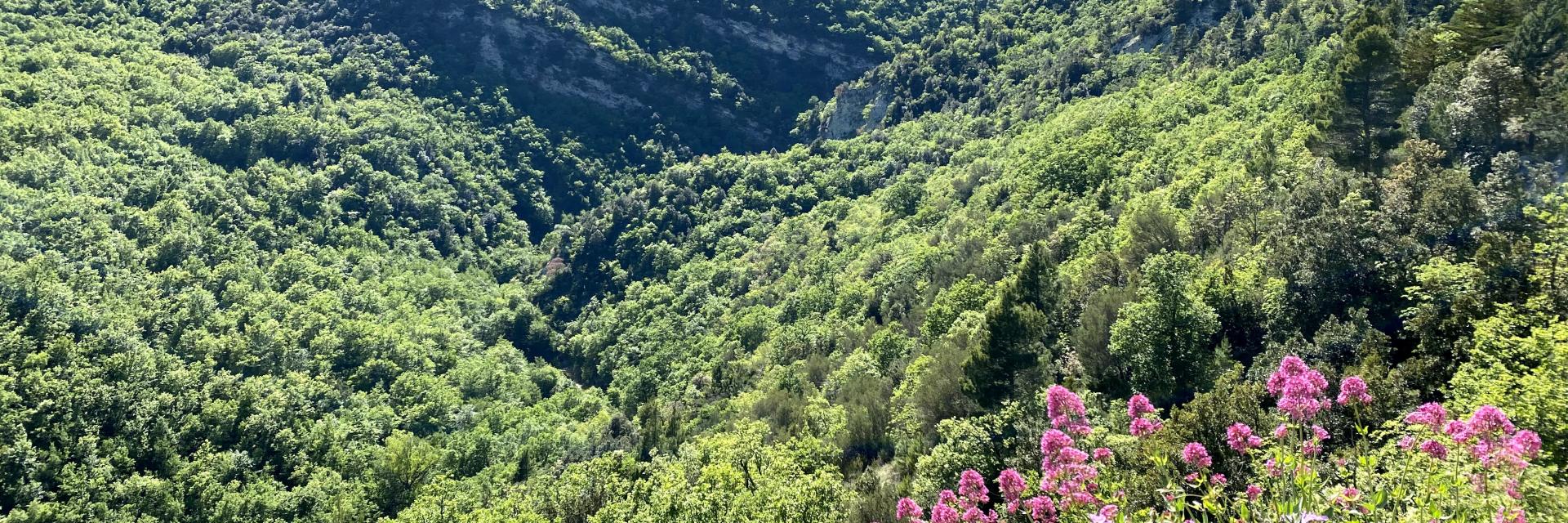 Vivi la Valle del Trigno a passo lento