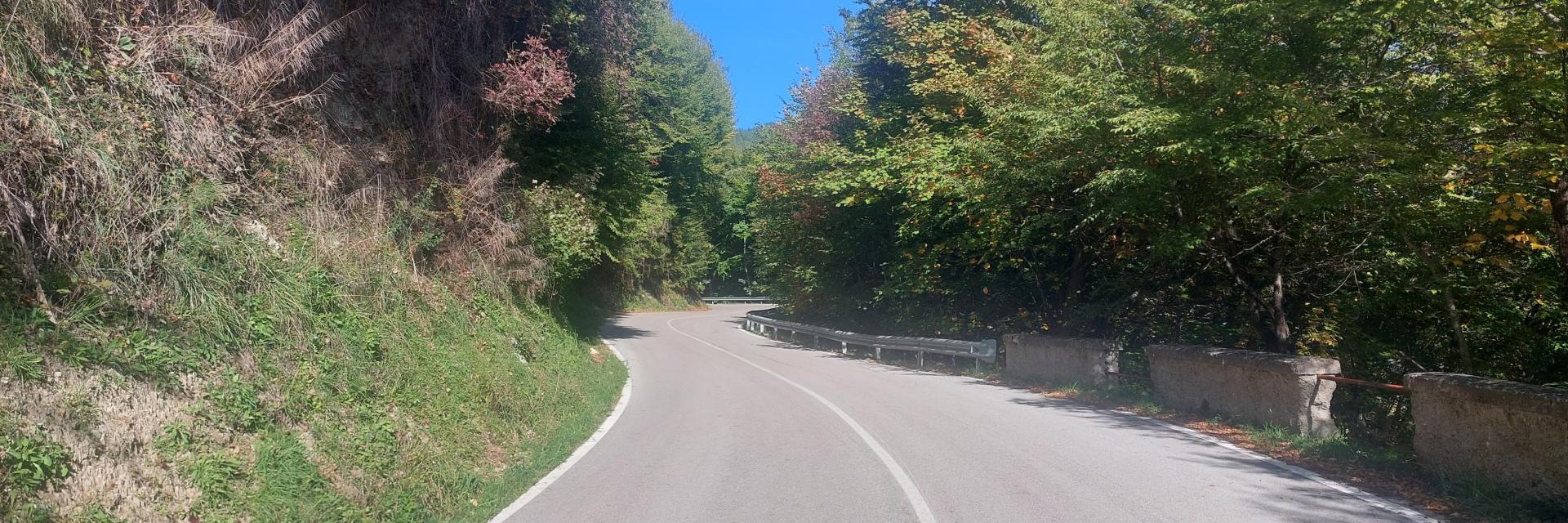 AREA DI SERVIZIO